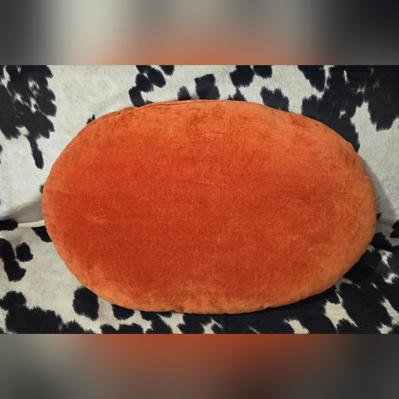 Decorative Lizard Pillow - Picture 2 of 5